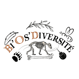 store_logo